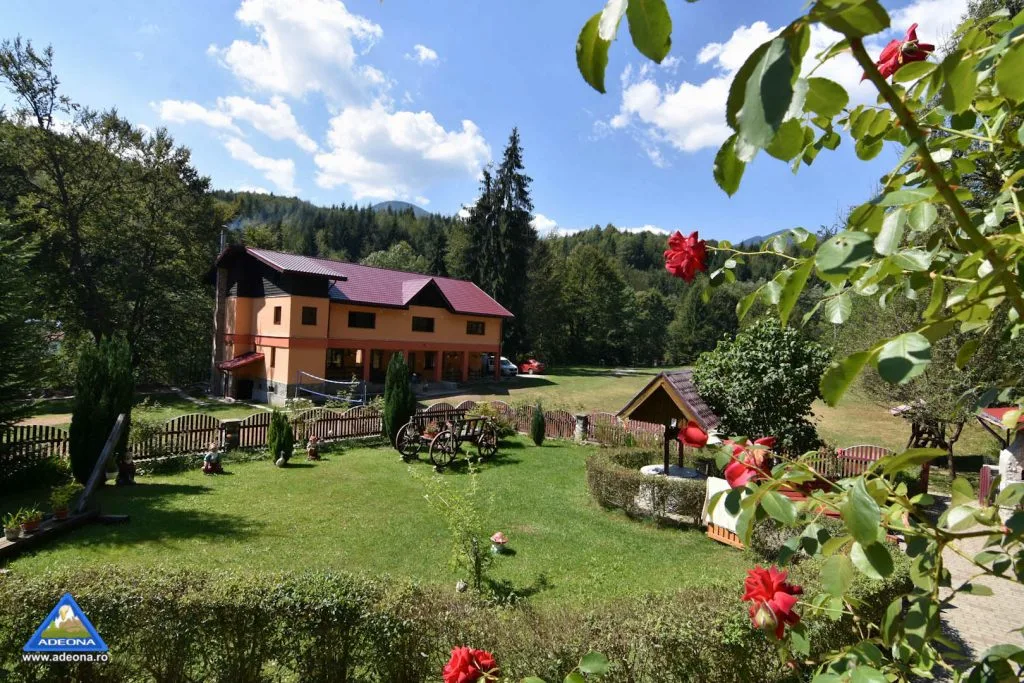 Tabara Adeona - Apuseni