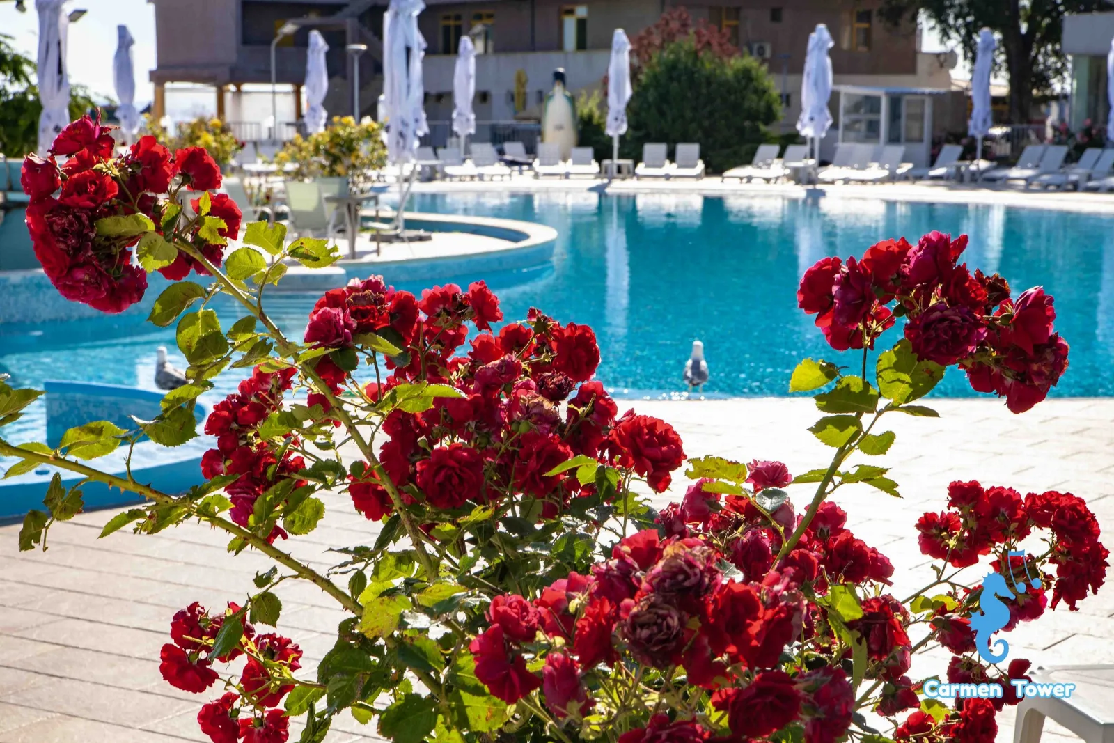 Hotel Balada