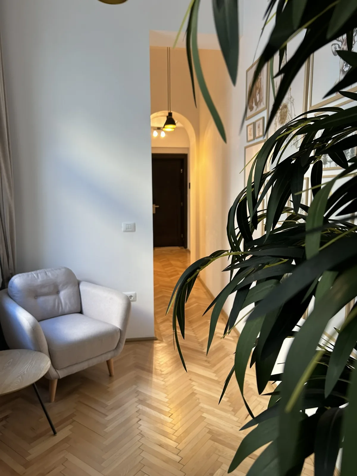 Nature-Inspired Stay in Piata Sfatului Brasov