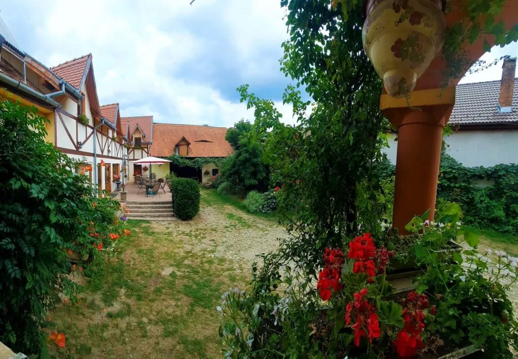 Bendorfeanu