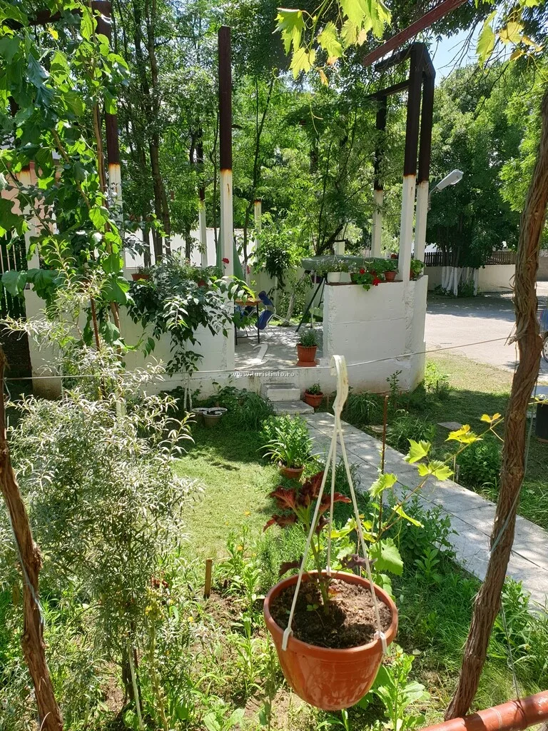 Pensiunea Pongal Eforie Sud