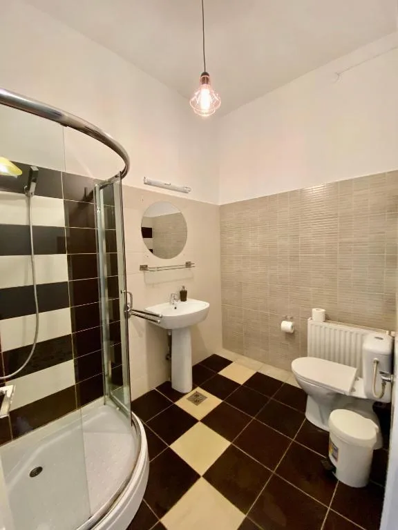 Luxury Single Room — Casa Balcescu, Drăgășani, Vâlcea