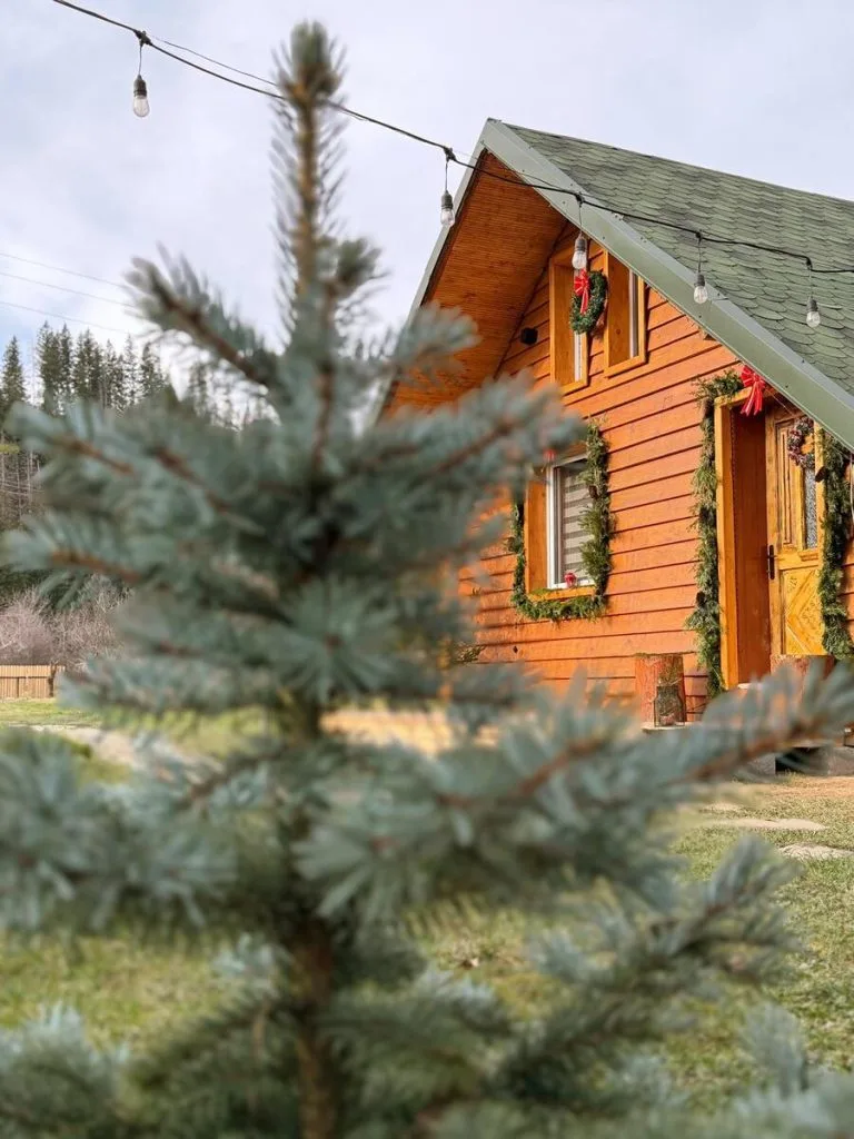 Escapetinycabin