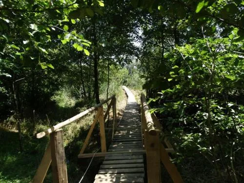 Eco-Scout Copăcel