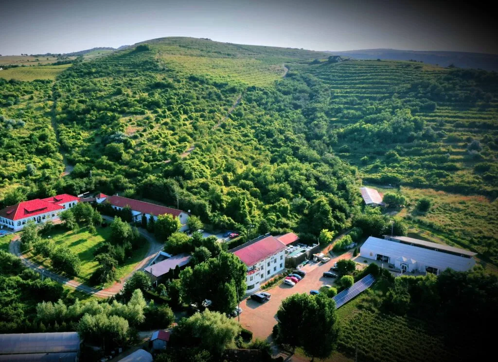 Casa Colinelor