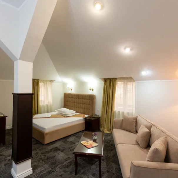Suita Junior Superioara — Hotel Art, Buzău, Buzău