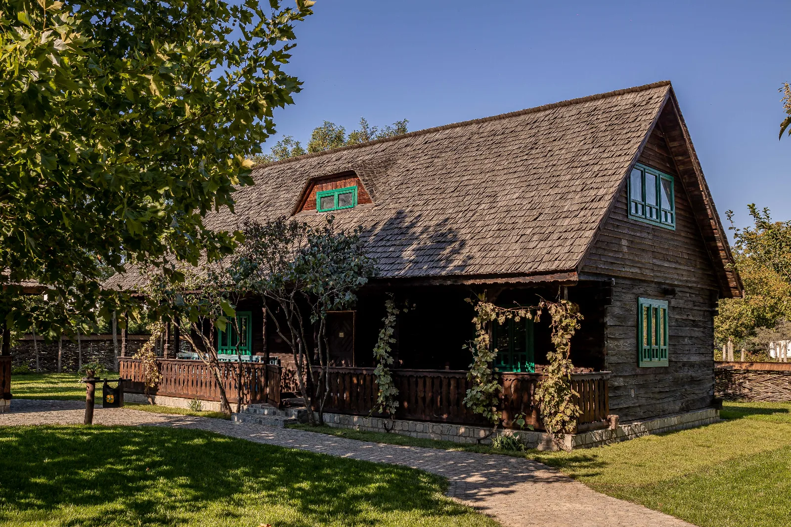 Breb — Gradina Snagov, Snagov, Ilfov