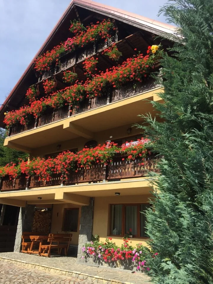 Vila Ski Azuga