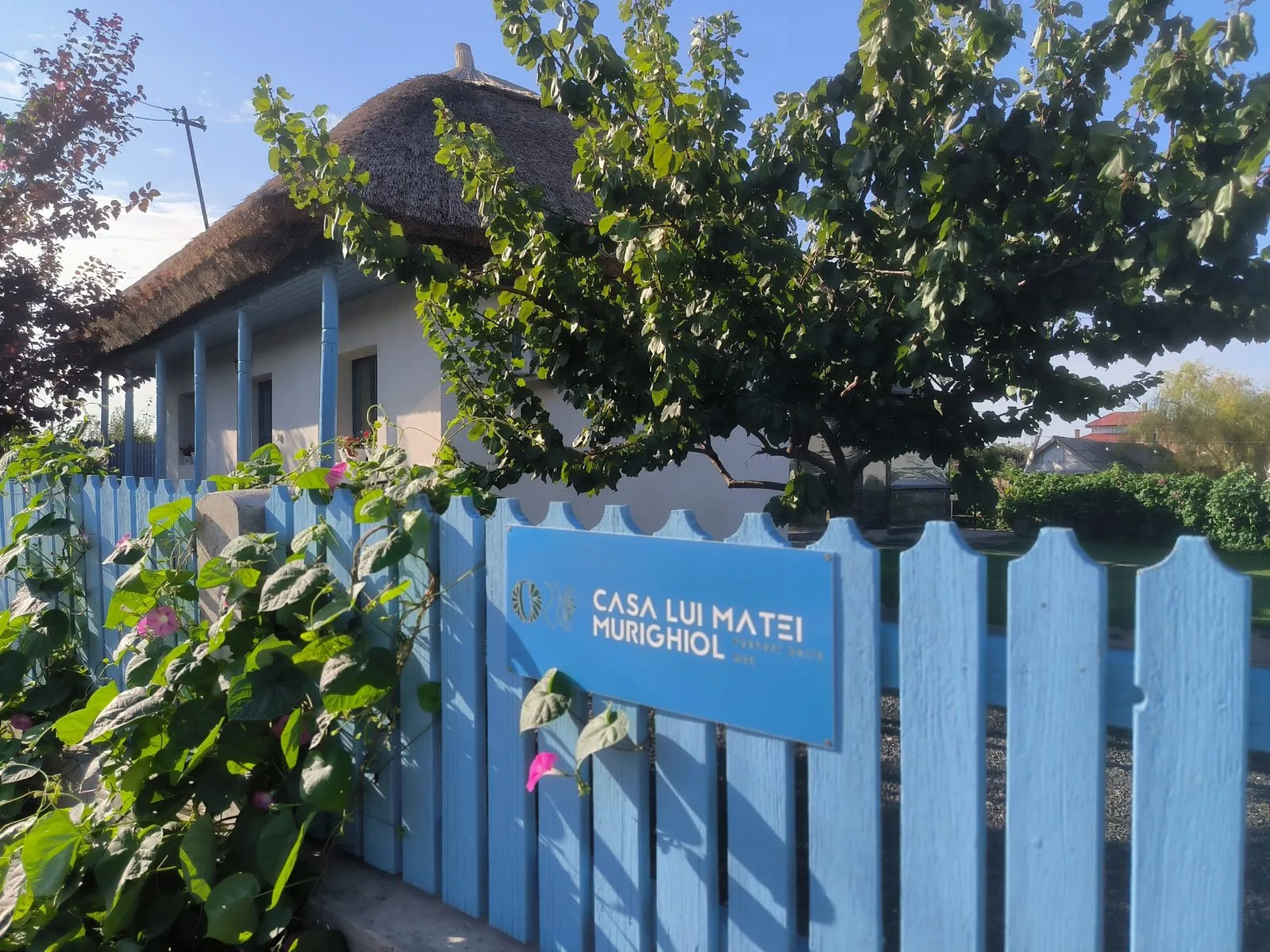 Casa Lui Matei Murighiol #2