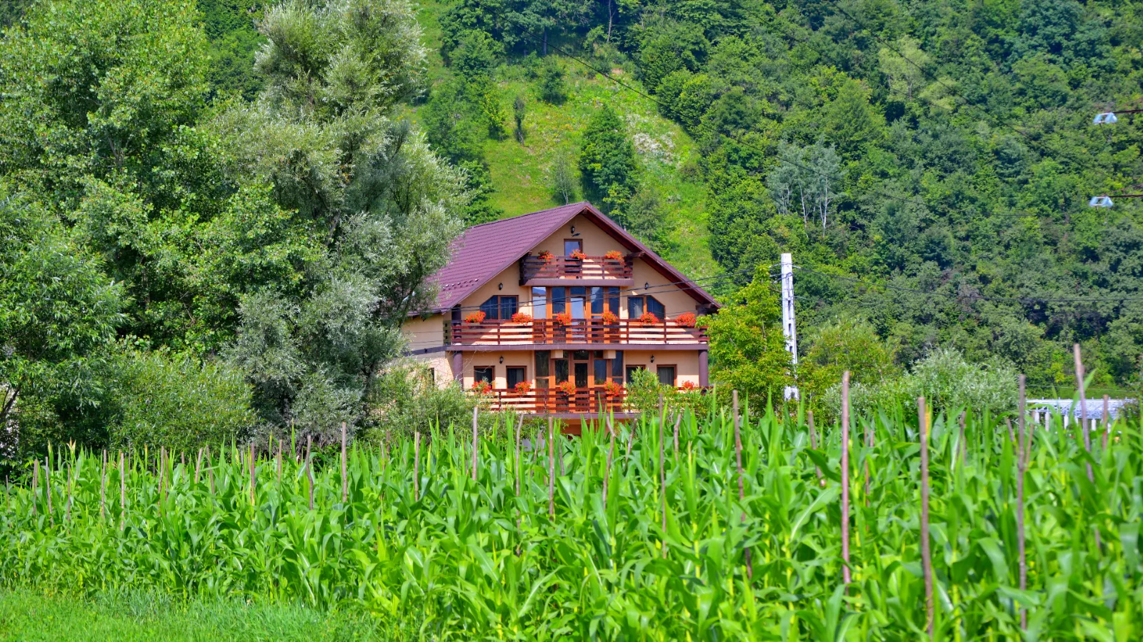 Casa Vădeanu