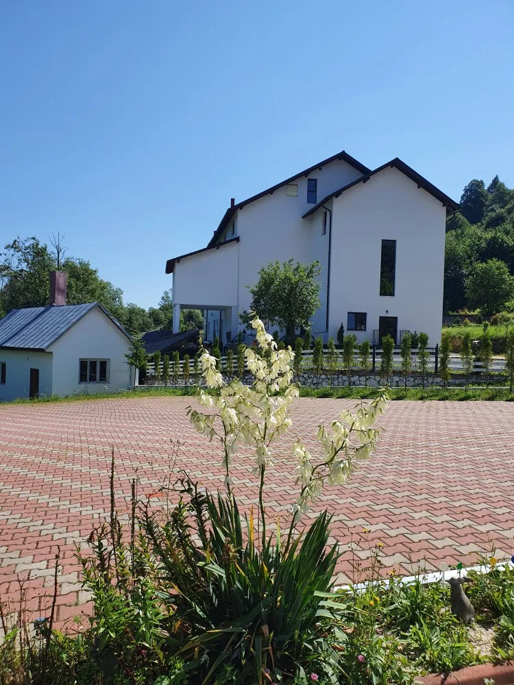 Pensiunea Izișoara Resort Maramureș