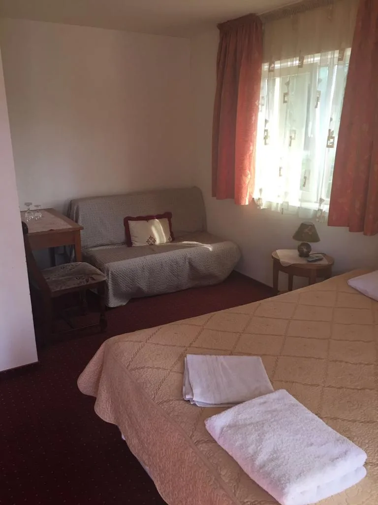 camere individuale, duble, matrimoniale, triple si apartamente — Rustic, Baia Sprie, Maramureș