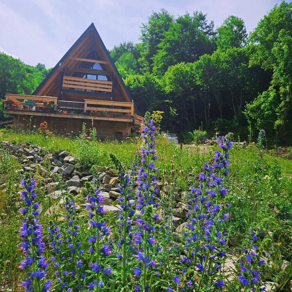 Charpatian Log Cabin Dragoslavele