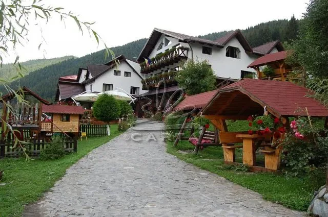 Apartament Vila 1 — Luminita, Moieciu de Sus, Brașov