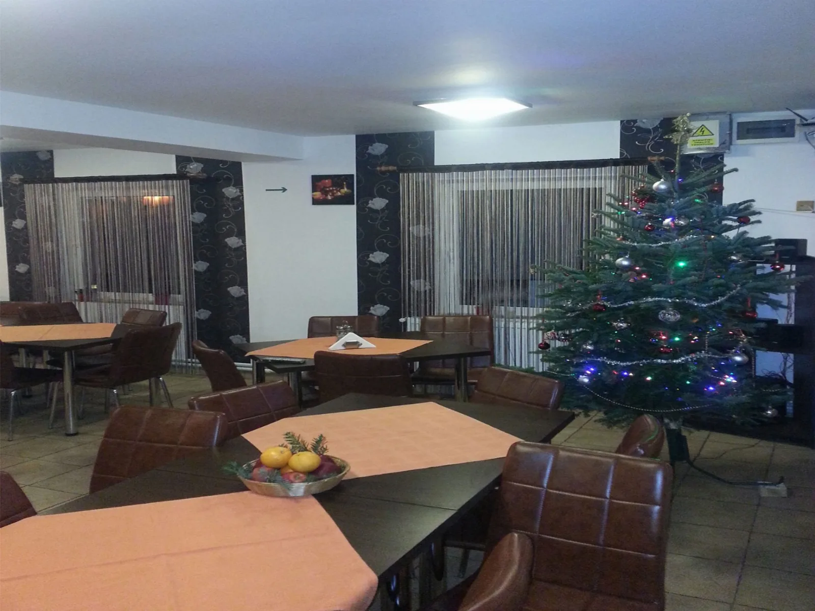 Vila MDM Straja