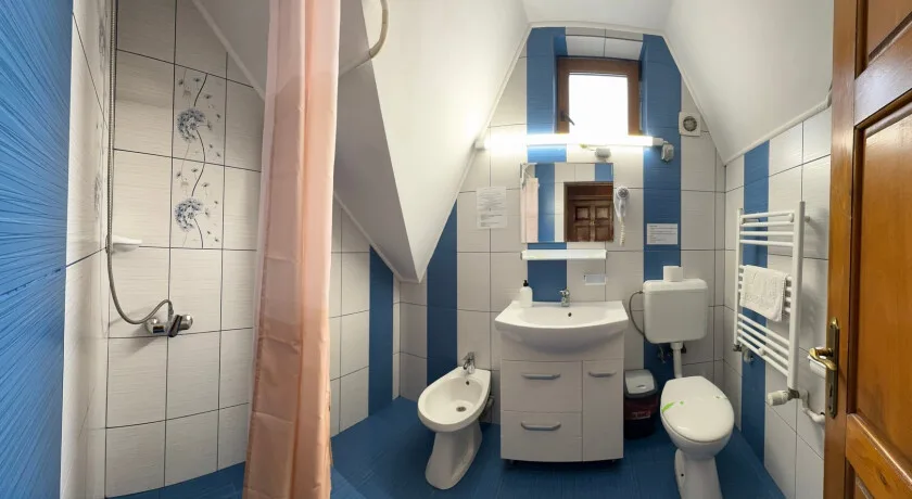 Twin Mansarda cu baie externa — Pensiunea Casa Verde, București, București