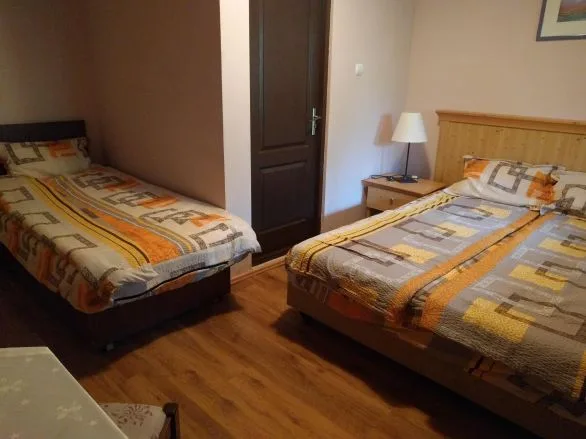 Camere de familie cu o cadă — Pensiunea Puiu, Negrești-Oaș, Satu Mare