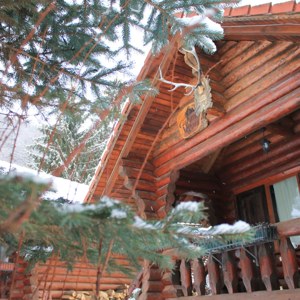 Cabana Negoiu — Complex Cheile Cibinului, Gura Râului, Sibiu