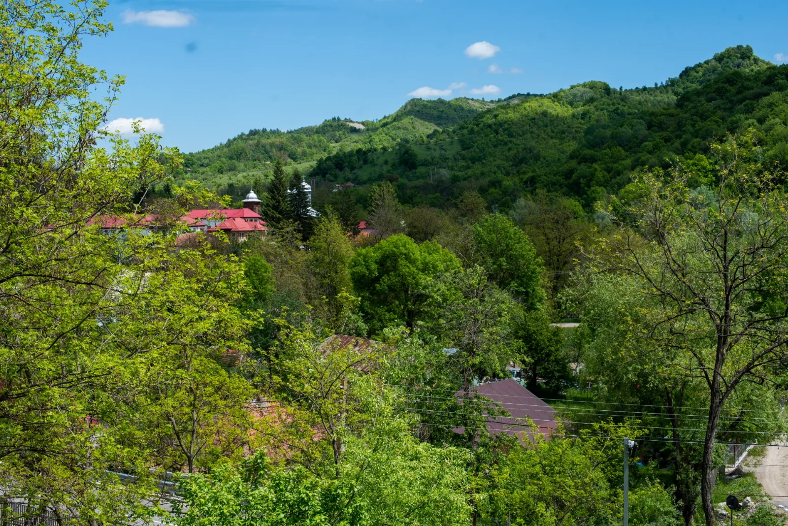 Zamura
