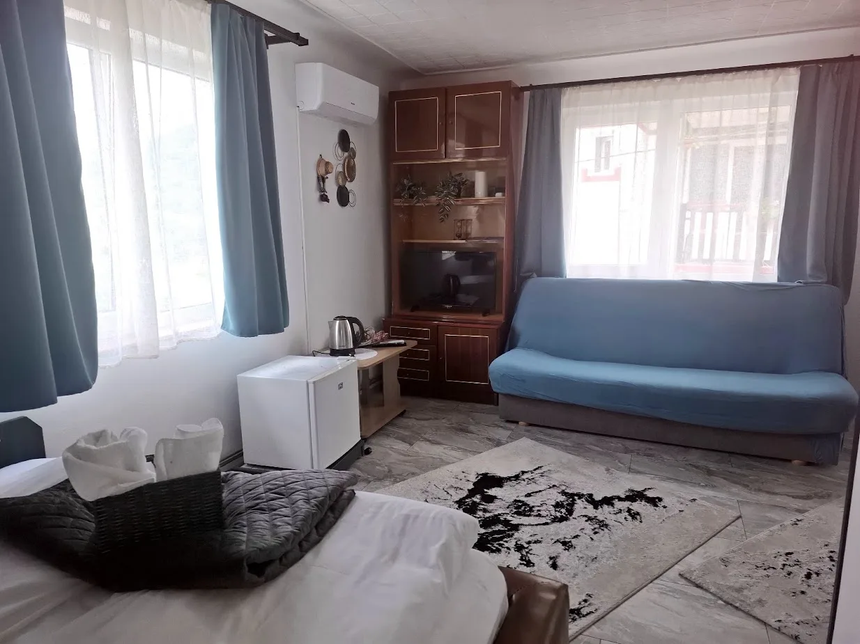Camere single cu vedere superbă — Casa Bebe, Băile Olănești, Vâlcea