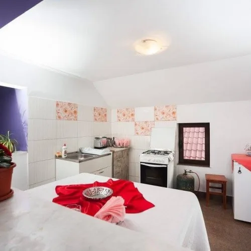 Apartament etaj 2 — Casa Bonsai, Băile Olănești, Vâlcea