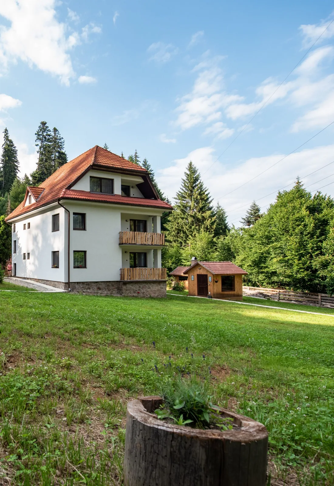 Forest Resort