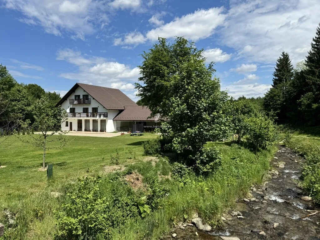 Valea Lisei