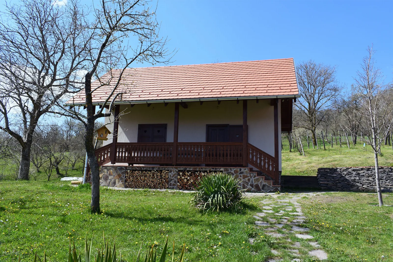Pensiunea Orban din Darjiu