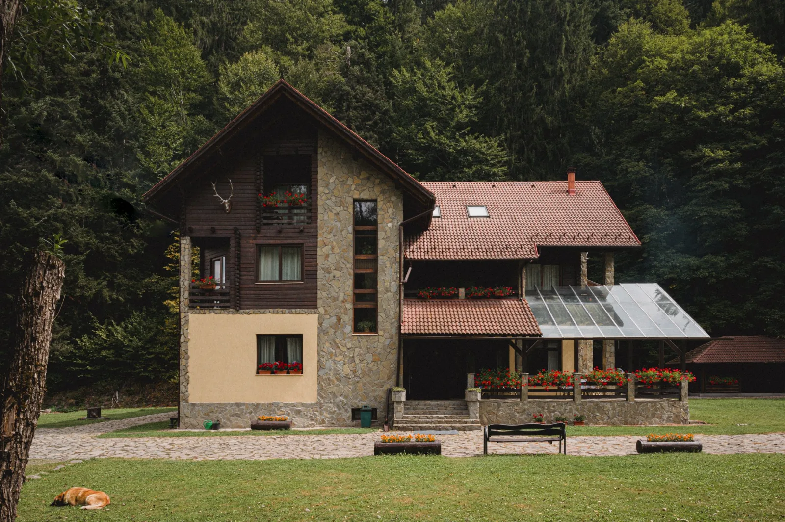 Denisa