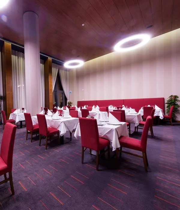 Hotel Transilvania