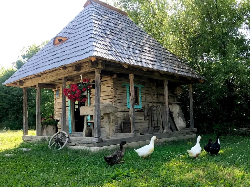 Camping Noroc Maramures