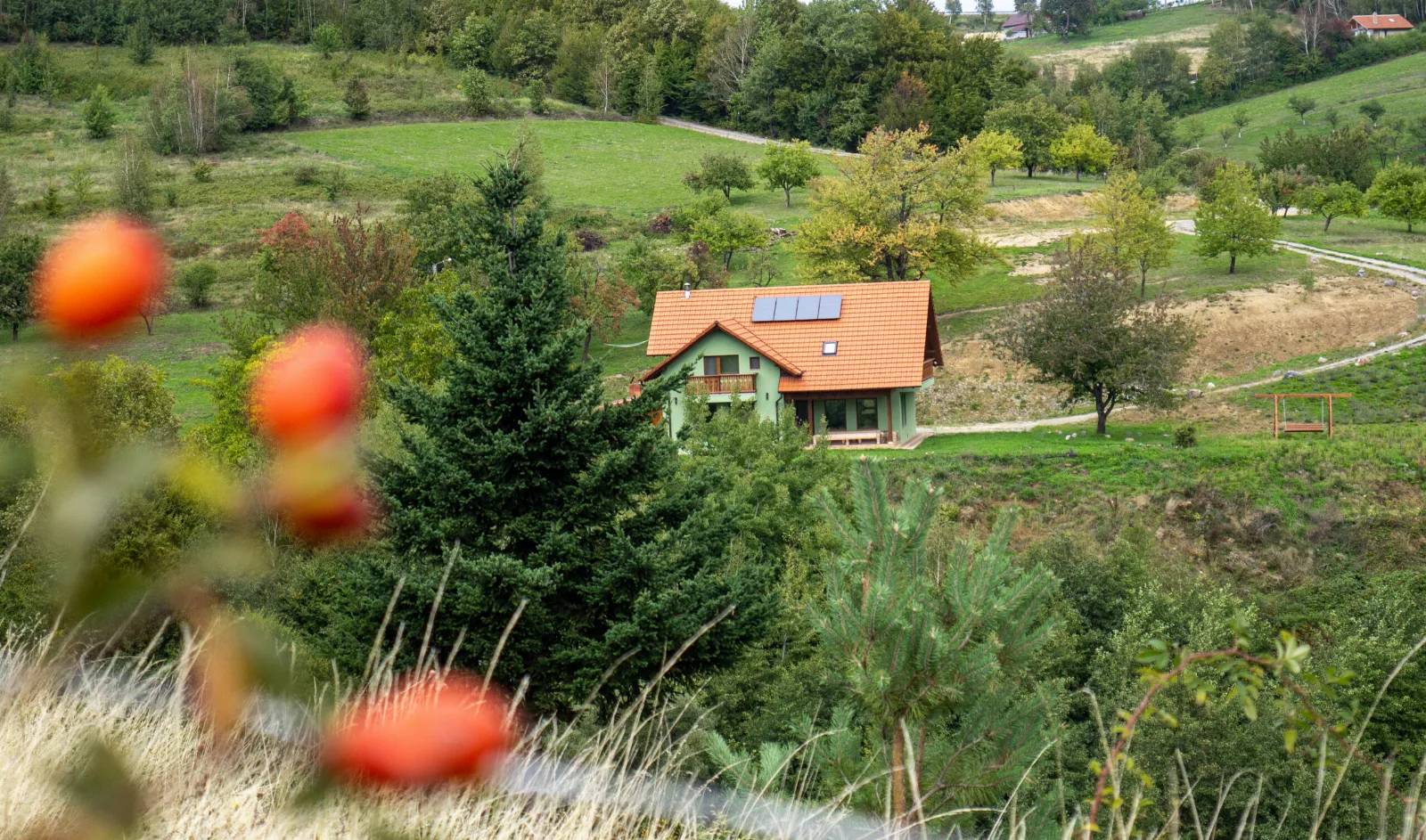 Rose Hip Hill