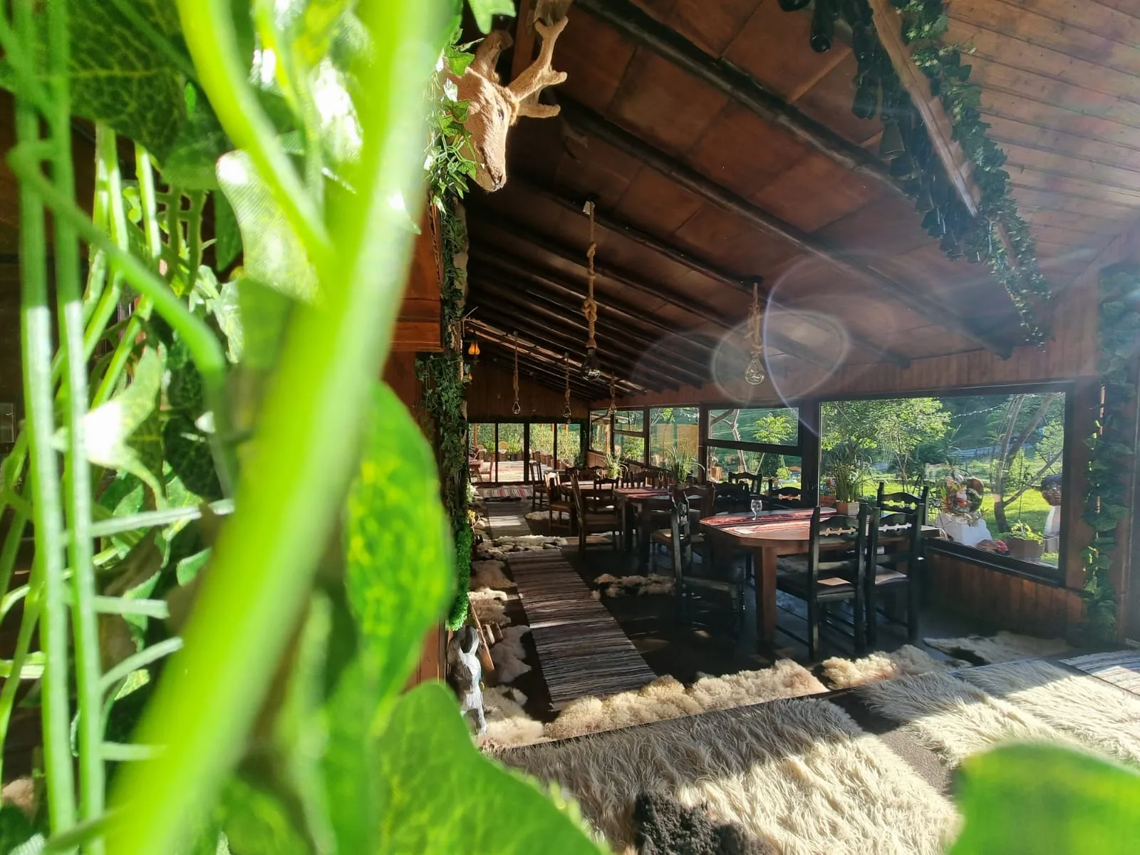 Langă Stana