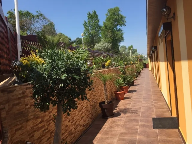 Microcomplex Delfinul