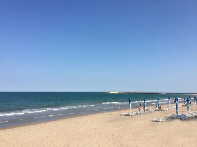 Camera dublă de lux — Microcomplex Delfinul, Neptun, Constanța