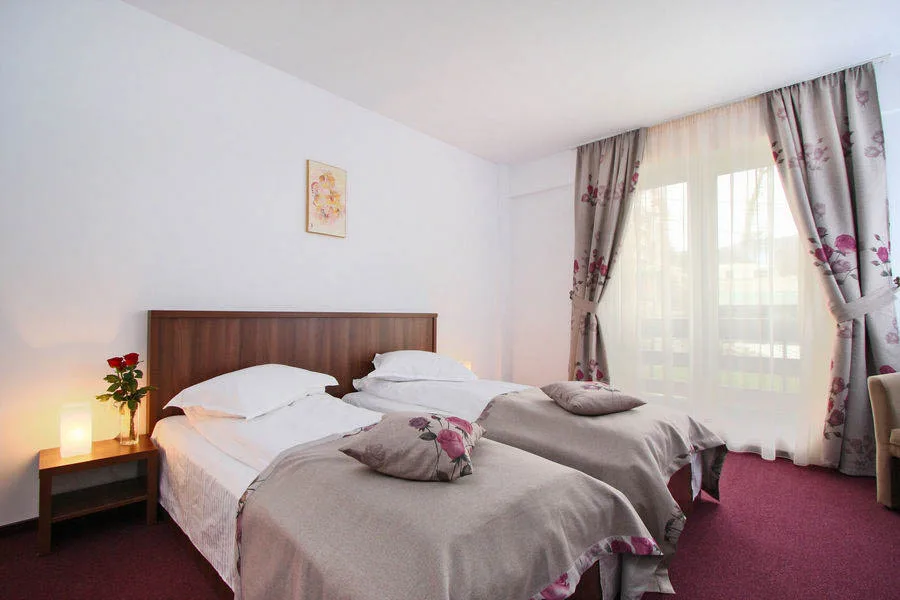 Standard Twin — Hotel Domnitei, Călimănești, Vâlcea