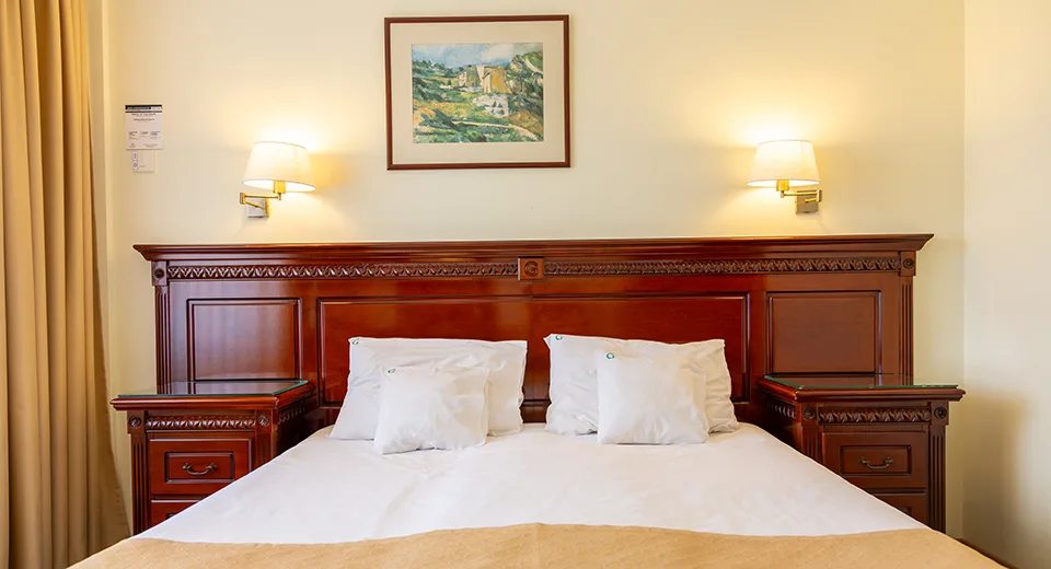 Camera cu pat matrimonial — Germisara Hotel, Geoagiu-Băi, Hunedoara