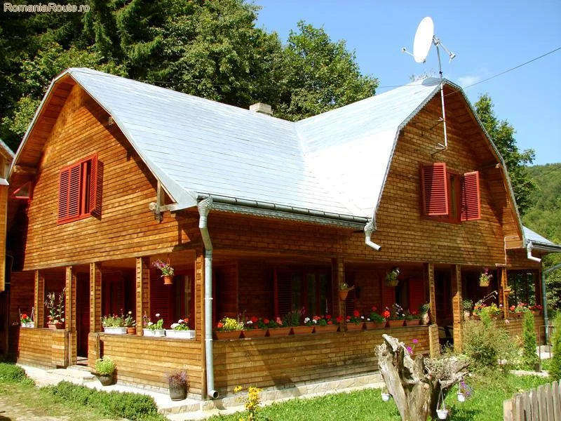 Aluniș