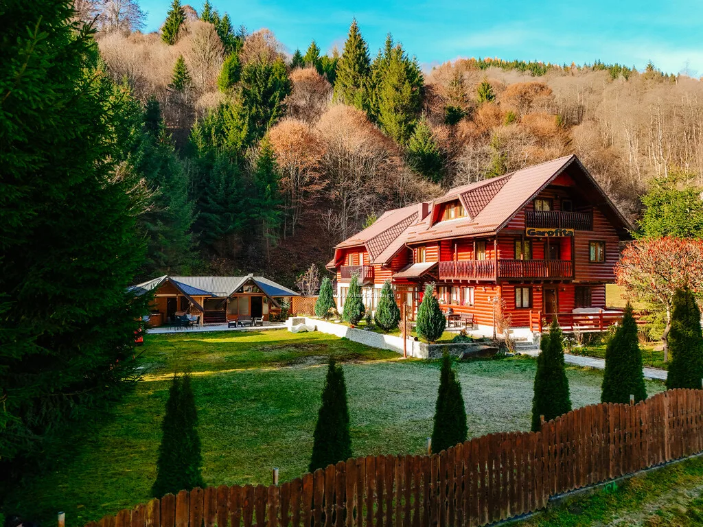 Garofița