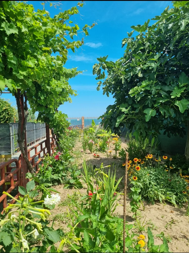 Casa Laur 2 Mai