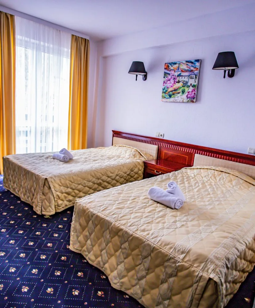 Cameră twin — Casa Octavian, Sucevița, Suceava
