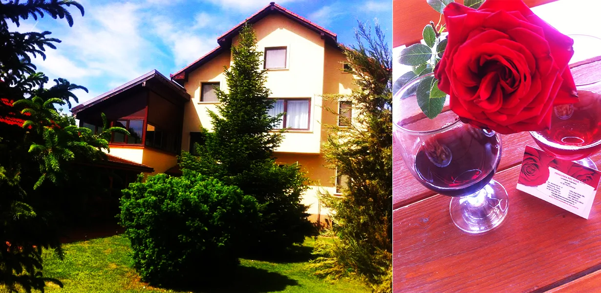 Fotografie 2 — Red Rose, Timișoara, Timiș