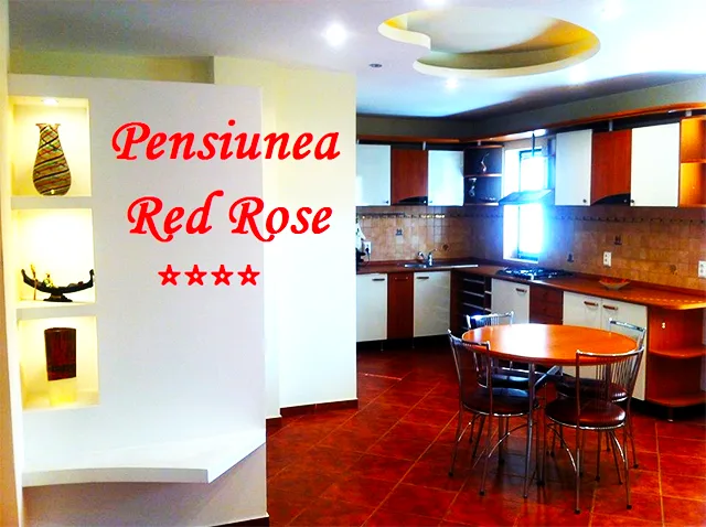 Garsoniere / Studio cu dus cu hidromasaj — Red Rose, Timișoara, Timiș