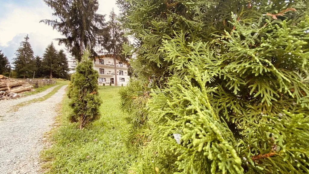 Casa dintre Brazi