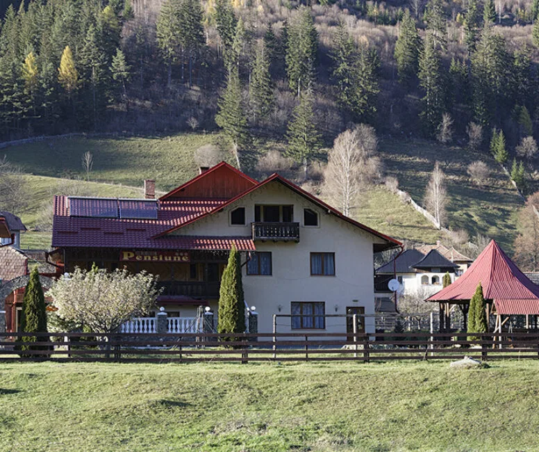 Dor de Codru