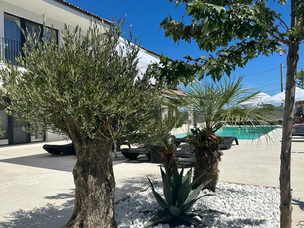 Luuma Beach Resort