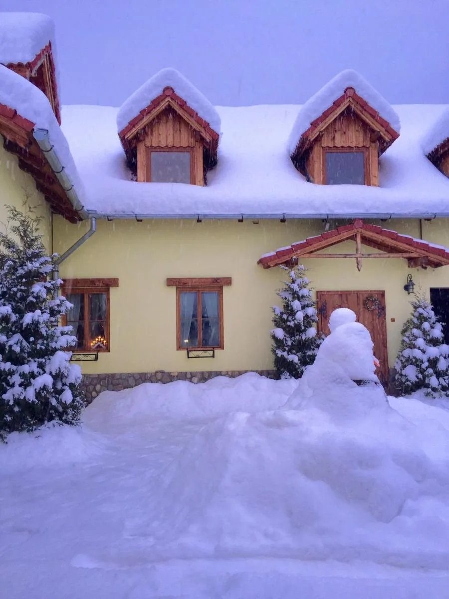 Casa Sibielul Vechi