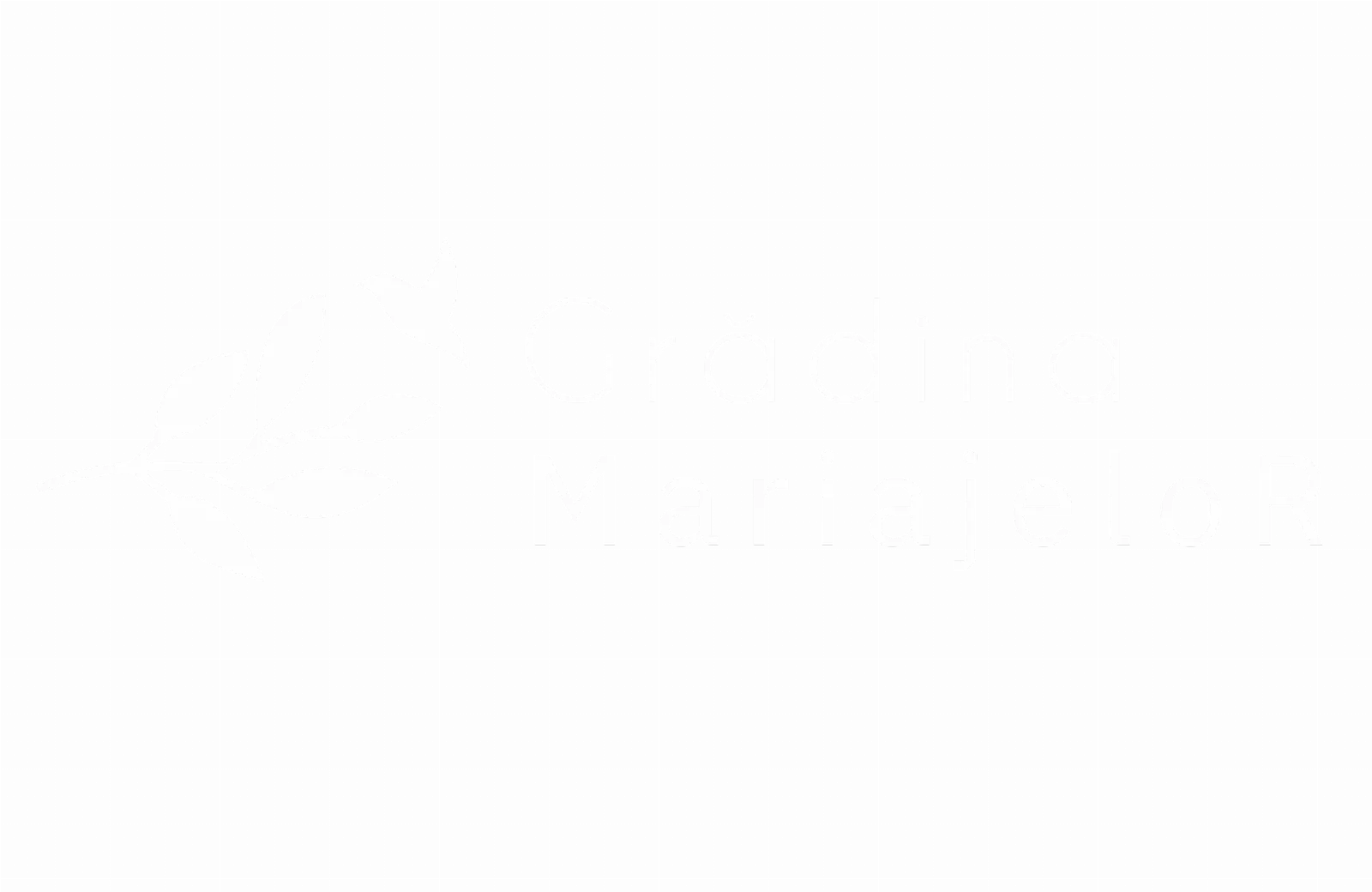 Camere hotel — Grădina Mariajelor, Câmpulung Moldovenesc, Suceava