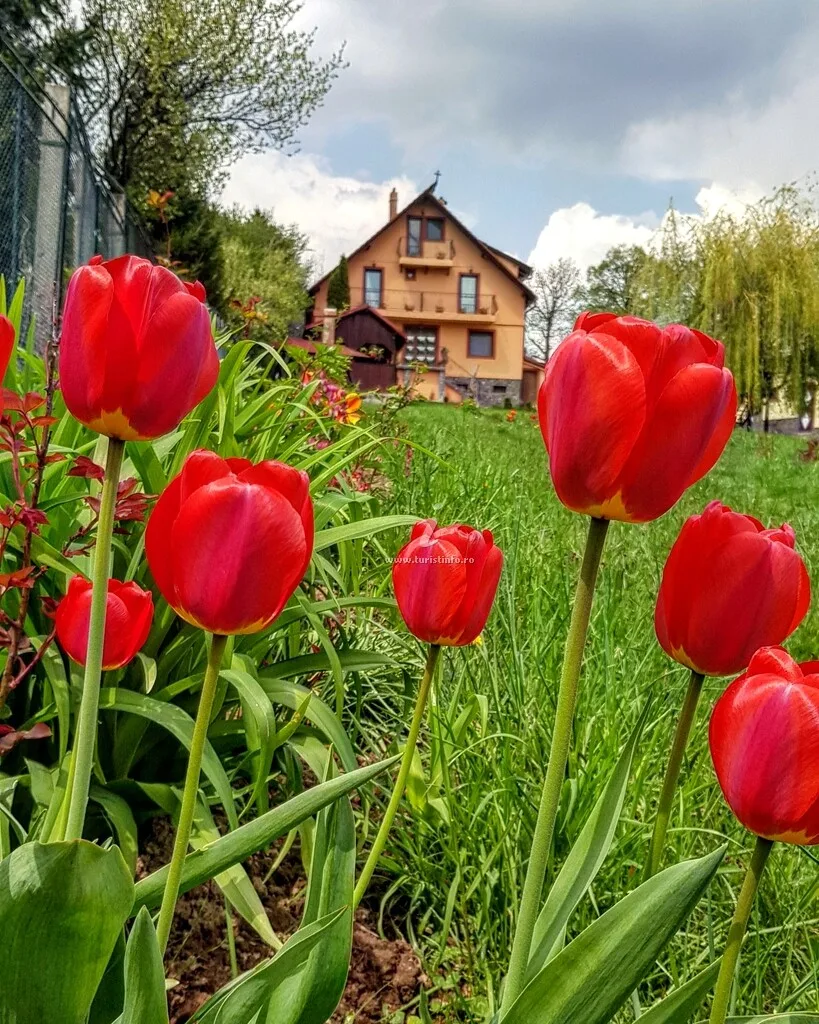 Casa Florina