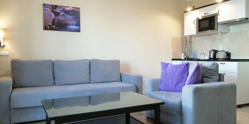 Apartament Confort cu 1 dormitor — Transilvania Villa & Spa, Muntele Băișorii, Cluj